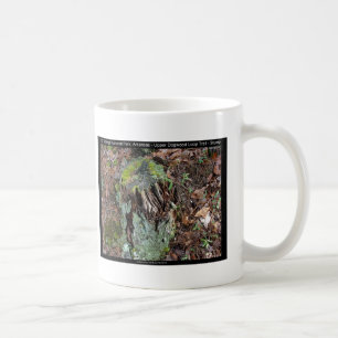 Caneca De Café Parque Nacional dos Primaveras Quentes, AR Upper D