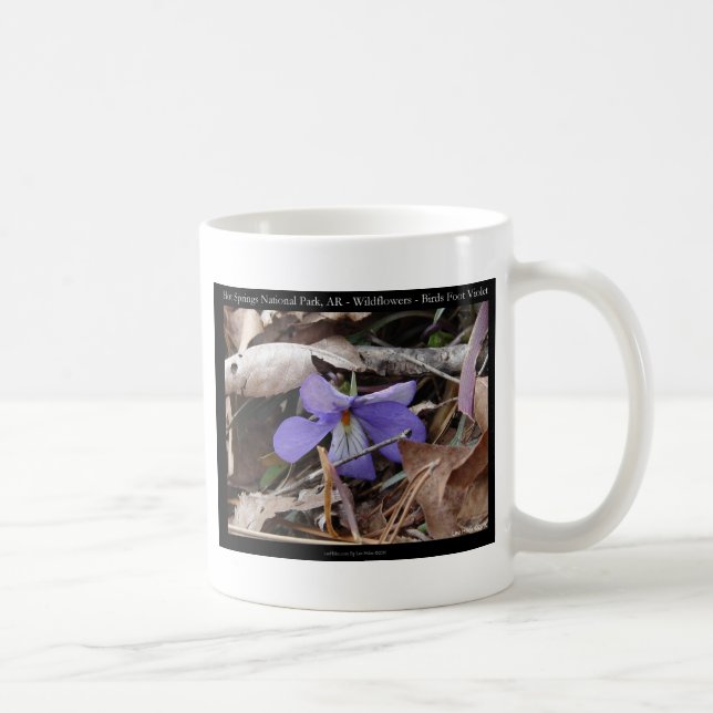 Caneca De Café Parque Nacional dos Quentes Primaveras, Presentes  (Direita)