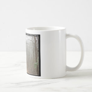 Caneca De Café Parque Nacional Hot Springs, AR - Caminhos Encanta