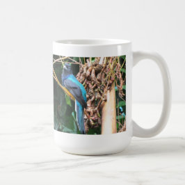 Caneca De Café Pássaro Azul de Cauda Longa