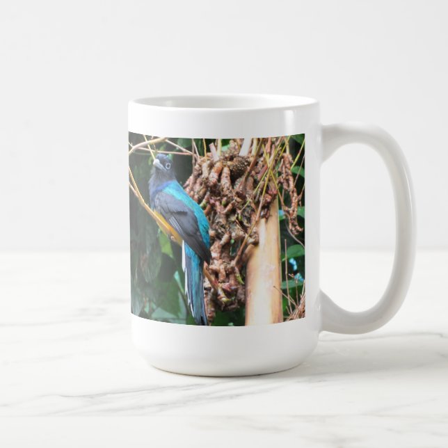 Caneca De Café Pássaro Azul de Cauda Longa (Direita)