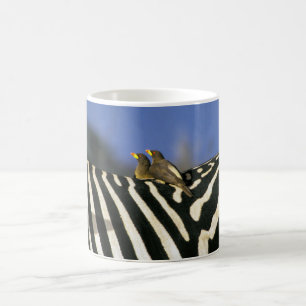 Caneca De Café Pássaro-bicho-da-bico-vermelho em uma Zebra de vol