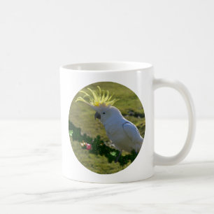 Caneca De Café Pássaro de Cockatoo de Natal na Austrália