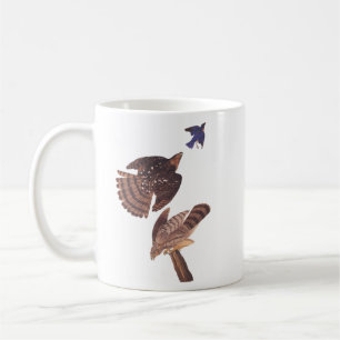 Caneca De Café Pássaro Hawk de Pia de Audubon, de Cooper