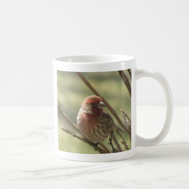 Caneca De Café Pássaro Pequeno na Canvas (Direita)