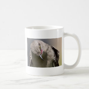 Caneca De Café Pássaro Tordo Mímico ganha Roupas e Presentes