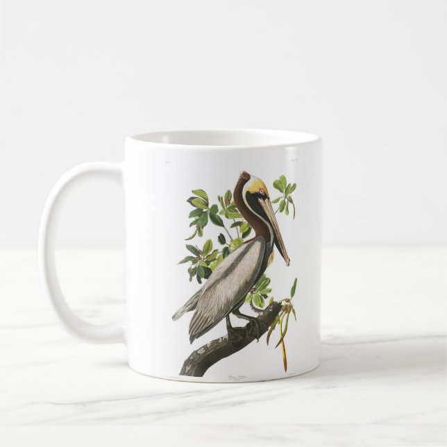 Caneca De Café Pássaros Brown Pelican John Audubon da América (Esquerda)