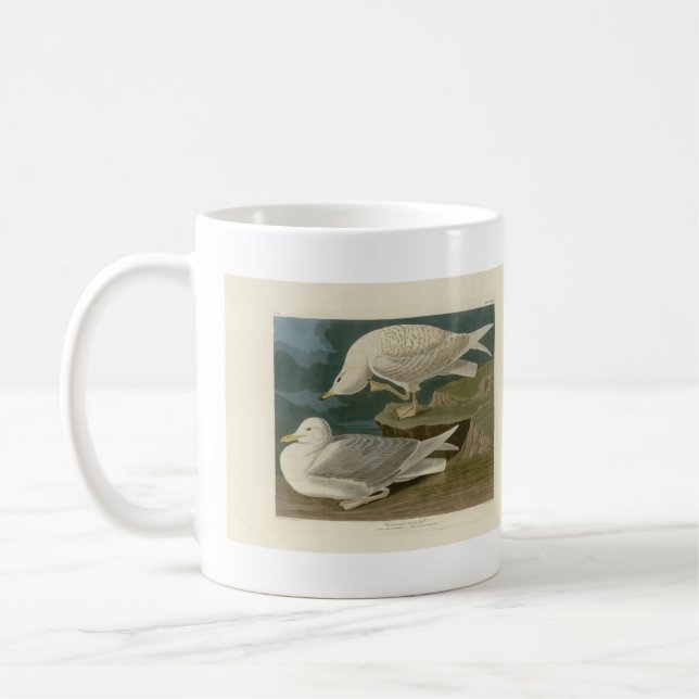Caneca De Café Pássaros de Gull Audubon, de asas brancas (Esquerda)