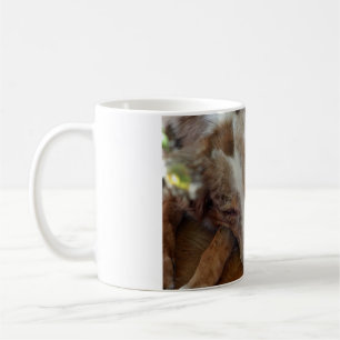 Caneca De Café pastor australiano malhado vermelho