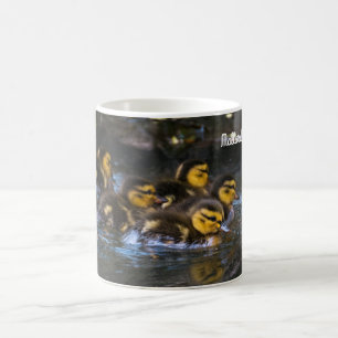 Caneca De Café Pato de Mallard