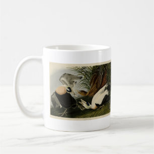 Caneca De Café Pato Eider, Cavaleiro Comum, Aves de Audubon da Am