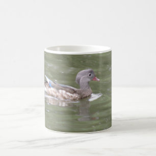 Caneca De Café Pato no lago Mug