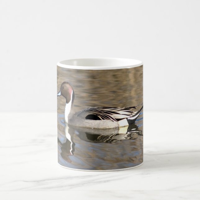 Caneca De Café Pato Rabo-de-Palha Nadeia Num Lago (Centro)