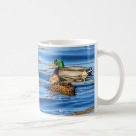 Caneca De Café Patos Com Água Azul