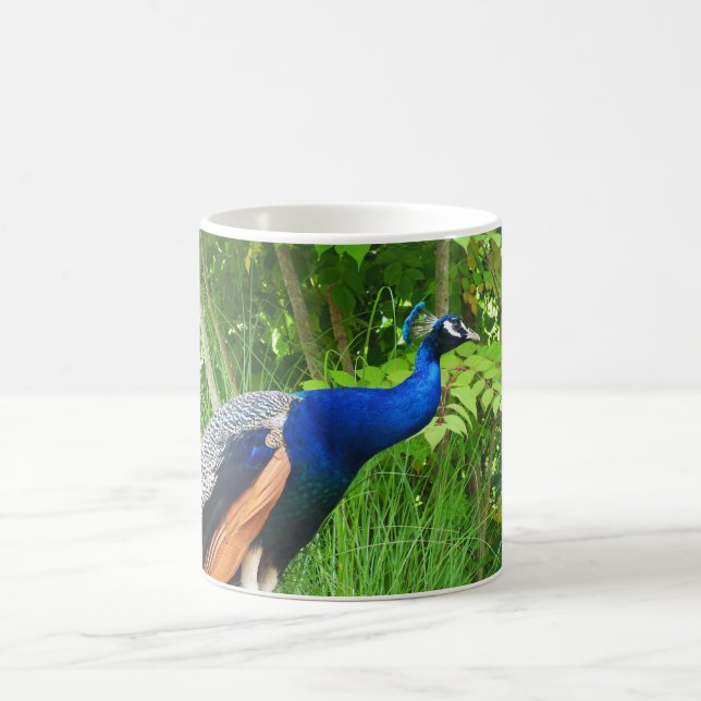 Caneca De Café Peacock (Centro)