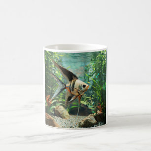 Caneca De Café Peixe-anjo nadando em aquário de água doce