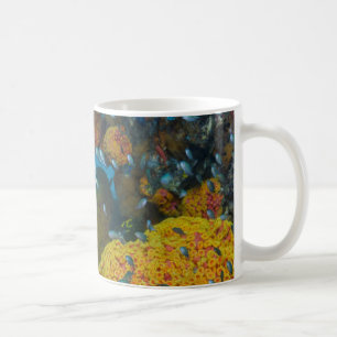 Caneca De Café Peixe Entre Recife de Coral