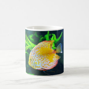 Caneca De Café Peixes do disco