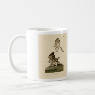 Caneca De Café Pequena Coruja (Escaravelho) Aves da América de Au
