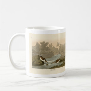 Caneca De Café Pequeno Sandpiper das Aves da América de Audubon