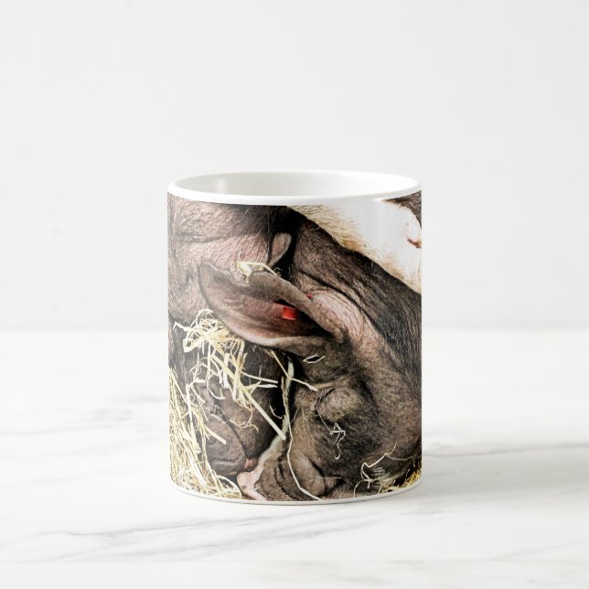 CANECA DE CAFÉ PEQUENOS SUÍNOS CUTOS (Centro)