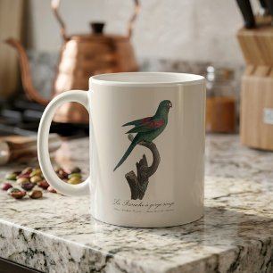 Caneca De Café Periquito-de-bochecha-laranja, Brotogeris jugulari
