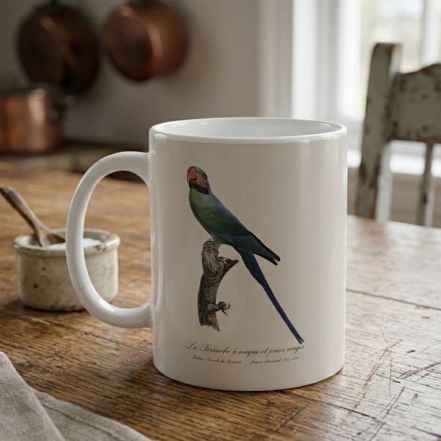 Caneca De Café Periquito-de-cauda-comprida, Psittacula Longicauda (Long-Tailed Parakeet, Psittacula Longicauda. Coffee Mug)