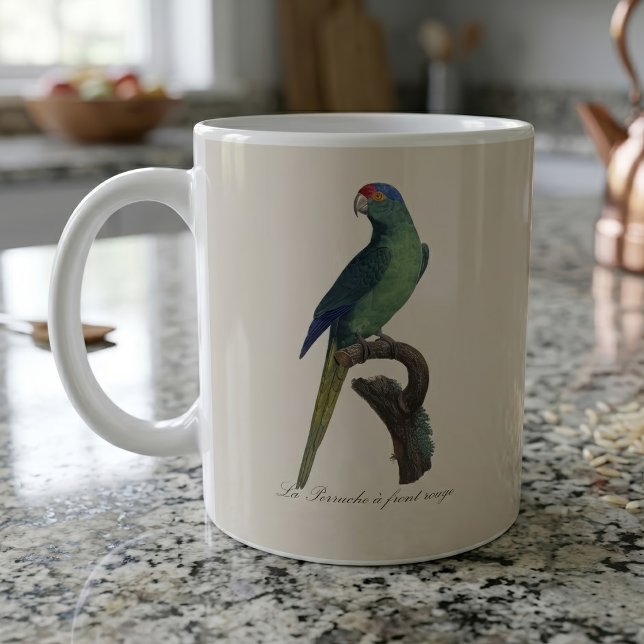 Caneca De Café Periquito-fronte-laranja, Eupsittula Canicularis (Orange-Fronted Parakeet, Eupsittula Canicularis. Coffee Mug)