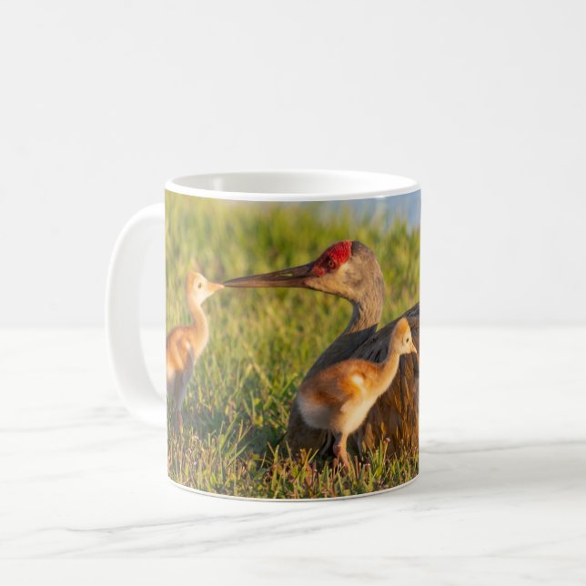 Caneca De Café Personalizar Sandhill Cranes ama seus pintinhos (Frente Esquerda)