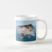 Pesca dos Walleye