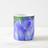 Pétalas de Flor Gentiana Azul Personalizadas