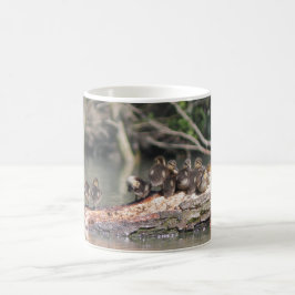 Caneca De Café Petits canards
