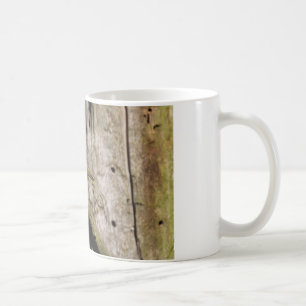 Caneca De Café Phylloscopus collybita