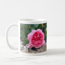 Pia Rosa Rosa Flor Flor, Jardineiros Botânicos Mug
