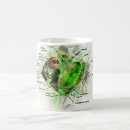 Caneca De Café pilha da planta