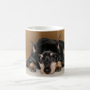 Caneca De Café Pin do minuto do Pinscher diminuto aka