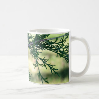 Caneca De Café Pine Branch