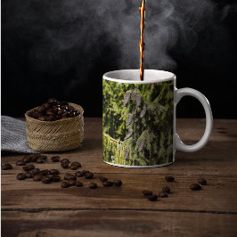 Caneca De Café Pinecones