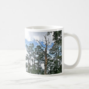Caneca De Café Pines no Beach Nature Trail OBX NC