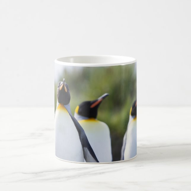 Caneca De Café Pinguins-rei (Centro)