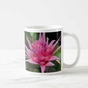 Caneca De Café Pink Beauty Coffee Mug