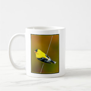 Caneca De Café Pintassilgo Americano - Fotografia Original