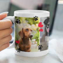 Pinturas E Corações Vermelhos: Quatro Fotos De Pet