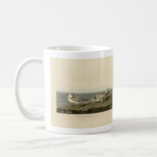 Caneca De Café Piping Plover from Audubon's Birds of America