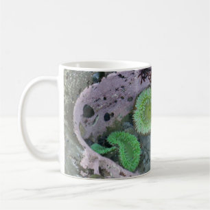 Caneca De Café Piscina de maré do Pacífico Noroeste com Anêmonas