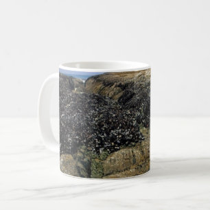 Caneca De Café Piscinas laterais em Bob Creek, Oregon