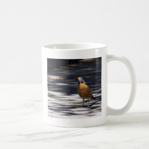 Caneca De Café Pisco de peito vermelho americano