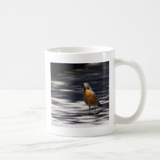 Caneca De Café Pisco de peito vermelho americano