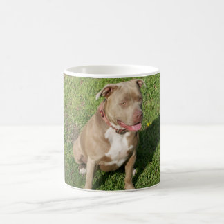Caneca De Café Pitbull calmo