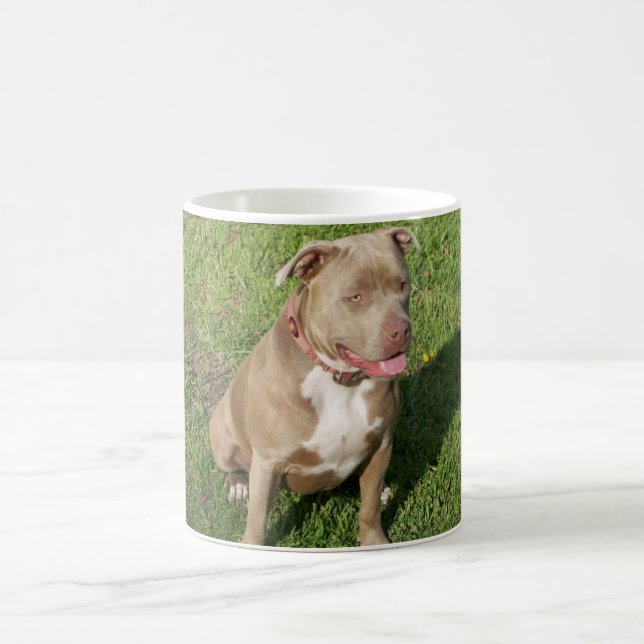 Caneca De Café Pitbull calmo (Centro)